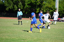 Enlarge photo 235