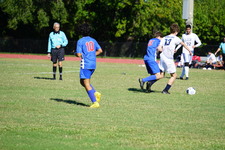 Enlarge photo 236