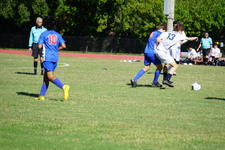 Enlarge photo 237