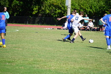 Enlarge photo 240