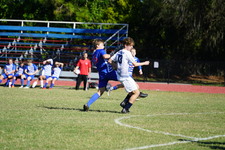 Enlarge photo 242