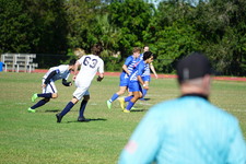 Enlarge photo 243