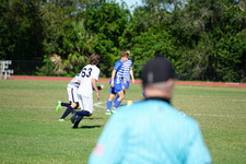 Enlarge photo 244