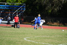 Enlarge photo 246