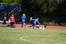 Enlarge photo 248