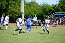 Enlarge photo 249