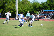 Enlarge photo 250