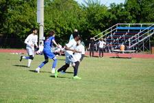 Enlarge photo 252