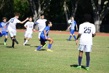 Enlarge photo 259