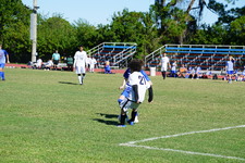 Enlarge photo 261