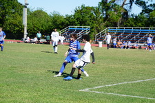 Enlarge photo 260