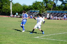Enlarge photo 264