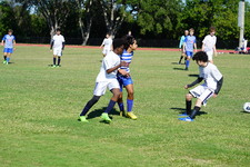Enlarge photo 268