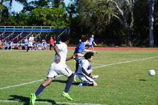 Enlarge photo 271