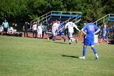 Enlarge photo 273