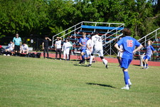 Enlarge photo 275