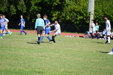 Enlarge photo 279