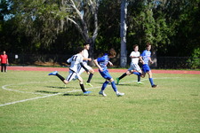 Enlarge photo 285