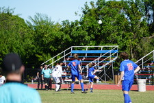 Enlarge photo 290