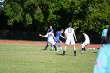 Enlarge photo 294