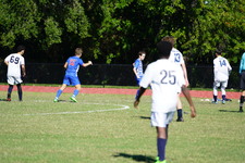 Enlarge photo 298