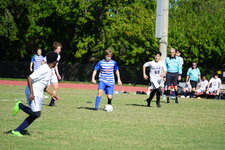 Enlarge photo 305