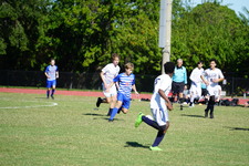 Enlarge photo 308