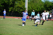 Enlarge photo 309