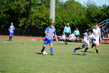 Enlarge photo 310