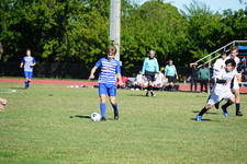 Enlarge photo 312