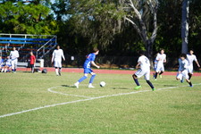 Enlarge photo 332