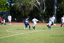 Enlarge photo 333