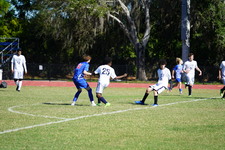 Enlarge photo 334