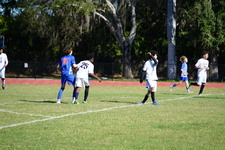 Enlarge photo 336