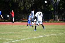 Enlarge photo 341