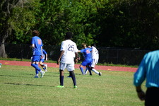 Enlarge photo 351
