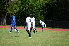 Enlarge photo 354