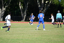 Enlarge photo 357