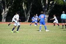 Enlarge photo 356
