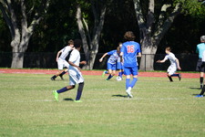 Enlarge photo 358