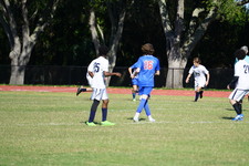 Enlarge photo 359
