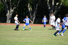 Enlarge photo 362