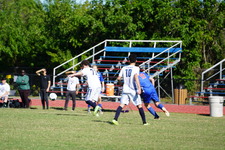 Enlarge photo 368