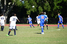 Enlarge photo 369