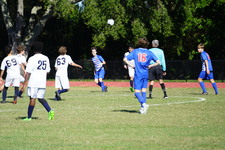 Enlarge photo 370