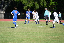 Enlarge photo 373