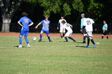 Enlarge photo 374