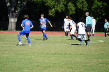 Enlarge photo 375