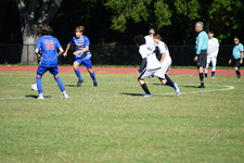 Enlarge photo 377