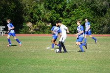 Enlarge photo 378